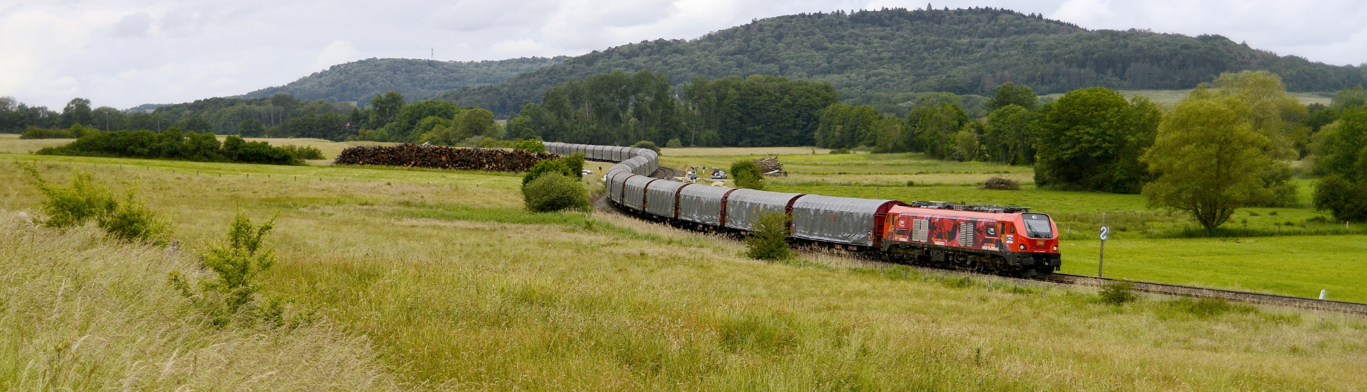 train dans un champ